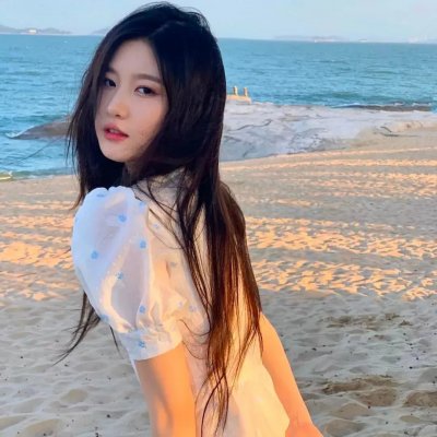 白色玫瑰短剧版